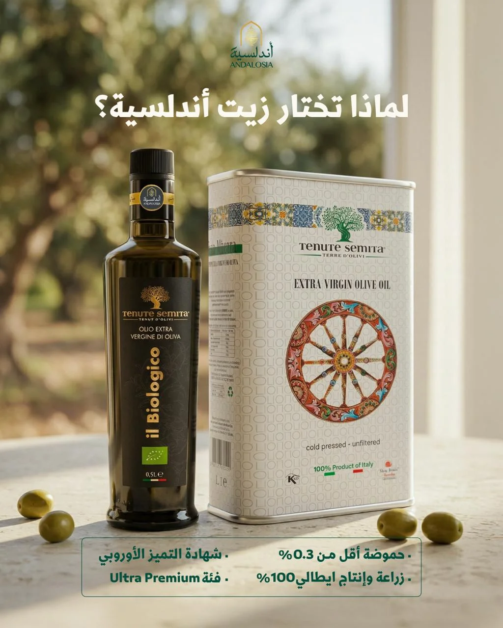 تصميم ونشر صورة لمواقع التواصل الاجتماعي من فريق فلوزوم لحسابات الأندلسية على مواقع التواصل الاجتماعي